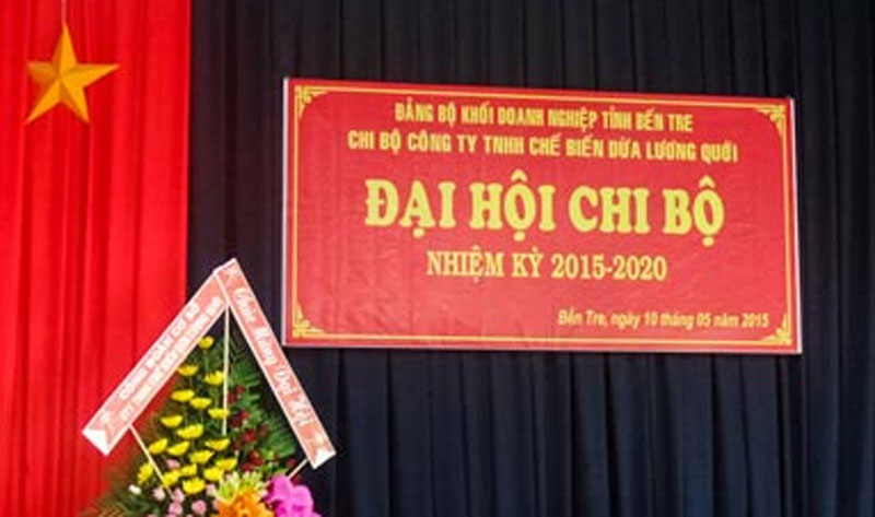 ĐẠI HỘI CHI BỘ CÔNG TY TNHH CBD LƯƠNG QUỚI NHIỆM KỲ 2015 - 2020